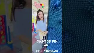 Giant Pin Wall Art | Lifesize Pin Art Wall | Giant 3D Pin Art | Life Size Pin Art