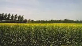 Canola Irrigation