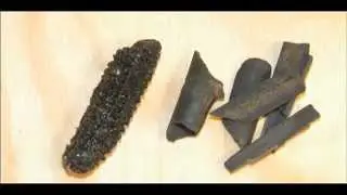 Relative and Absolute Dating Methods