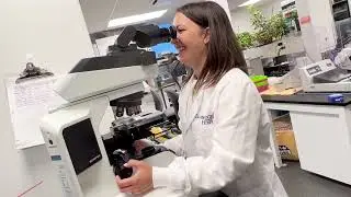 Equipment Spotlight: Tissue Processor