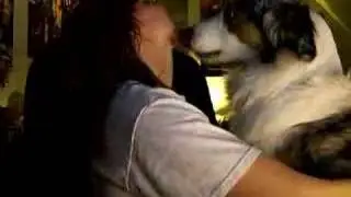 Oh my dog