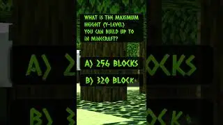 Minecraft Quiz - Question 1
