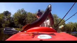 Gant Outdoors. Kayak fishing a backwater slough of the Wisconsin River.   Sauk County, Wisconsin.