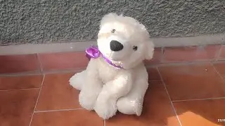 Chinafake Singing Spanish Bear (VERY RARE)