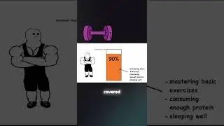 Master the Basics for Muscle Gain