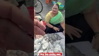 Fish Market | Bhaucha Dhakka | Wholesale Market | Cheapest Fish Market | Fish Update