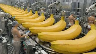 Inside a Banana Bread Factory: How Fresh Bananas Become Perfect Loaves