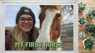 Sundance: My First Horse