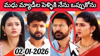 మధు మ్యాడీల పెళ్ళికి నేను ఒప్పుకోను అని అన్న దేవా