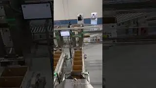 Experience the Future of Packing: Fully Auto Lemon Packing House | Revolutionary Agriculture Tech