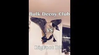 Bulk Decoy vs BigFoot B2!!!