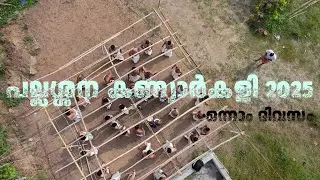 പല്ലശ്ശന കണ്യാർകളി 2025 ഒന്നാം ദിവസം
