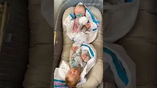 Do You Like Twin Reborn Baby Dolls?
