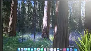How to check the warranty coverage of the Mac mini M4 (Apple)