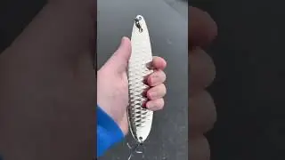Nichols Ben Parker Magnum Flutter Spoon Dominates Big Bass! | J&H Tacke