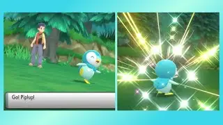 Pok&eacute;mon BDSP Shiny Starter Piplup in 135 Encounters!