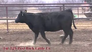 Lot 129 Post Rock