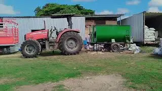 Asiendo comida para ganado 