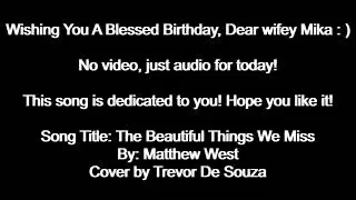 The Beautiful Things We Miss - Matthew West (Cover)