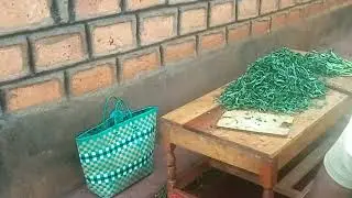 Vegetables harvesting and cooking day #africanvegetables #africanfood #africanlifestyle #farming 