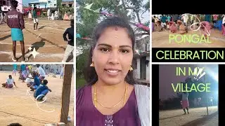 Pongal Celebration in My Village | Traditional Games & Village Vibes 🌾🔥 #kavithakumar 