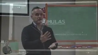 Sumulas
