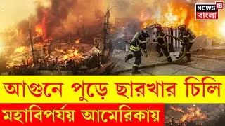 Chile Wild Fire | পুড়ে ছাই চিলি, প্রকৃতির রুদ্ররূপ, ধ্বংসস্তূপে পরিণত হয়েছে এলাকা । N18G