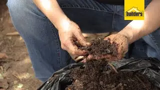 How To Make Leaf Mould