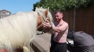 Ethan Meets Faith's New Horse