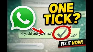 WhatsApp Stuck on One Tick? Do This