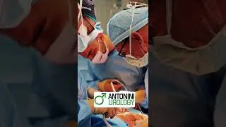@DrPaulPerito @Antonini-Urology-Roma