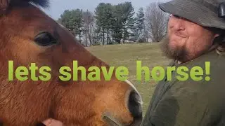 How to make a shaving horse. PT 1 #woodworking #shavinghorse #bodger