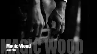 Magic Wood - June 2024