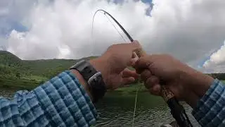 野反湖でドライフライフィッシング