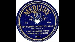 I'm Coming Home To Stay - Cats N Jammer Three