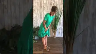 Ruffle Hem Dress