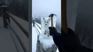 Frozen Arctic fox freezed from ice ❄️🥶🦊.  #2026 #fox #winter #ice #frozen #viralshort