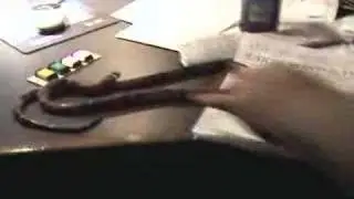 Rick Emerson Get Scared by Snake (ritchie)