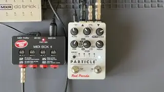 Использование Disaster Area Designs MIDI Box 4 с педалями Red Panda