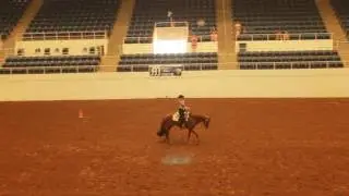 2017 Texas State 4H Horse Show HMS Final