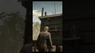 All Your Bars Increase Cheat Code Rdr2 #shorts #spdxstreamgaming #rdr2