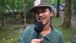 Laurel Cove Music Festival - '24