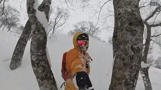 Powder Snowboarding in Japan (Hakuba)