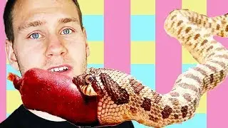 MY SNAKES EAT SAUSAGES (REPTILINKS)