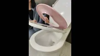 Toilet Seat with Built-In Potty Training Seat - Pink, soft close (part 1)