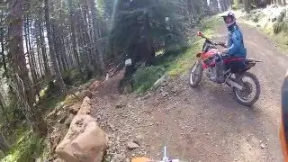 Log Jam 4-2016