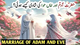 Hazrat Adam Aur Hawa Ka Nikah | Adam And Eve Marriage | Prophet Adam Story