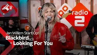 Blackbird - Looking For You | NPO Radio 2