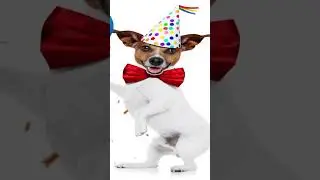 Tanti Auguri a te - Canzoni per Bambini - Canzoni bambini Festa di Compleanno #canzonibambini