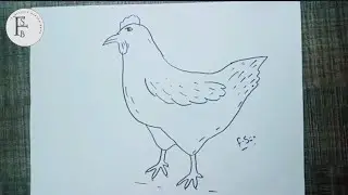How To Draw A Beautiful Hen  Sketch Drawing With Pencil Step By Step||Fantastic Sketch Book.